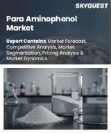 Global Para aminophenol Market
