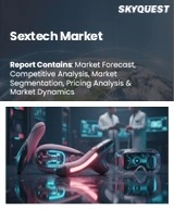 Global Sextech Market