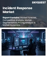 Global Incident Response Market