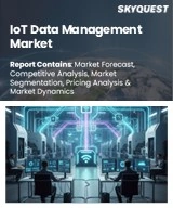 Global IoT Data Management Market
