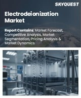 Global Electrodeionization Market