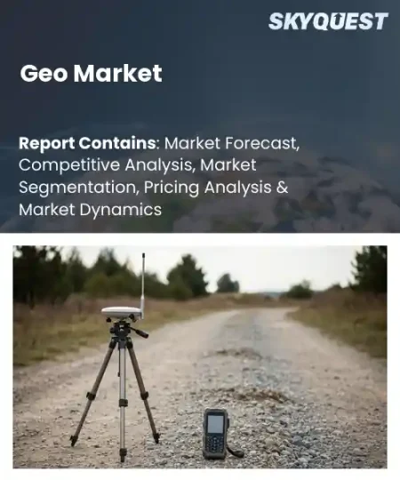 Global Geo Market