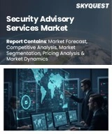 Global Security Advisory Services Market