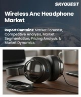 Global Wireless ANC headphone market