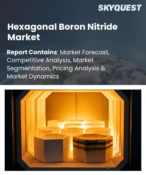Global Hexagonal Boron Nitride Market