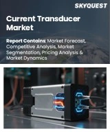 Global Current Transducer Market