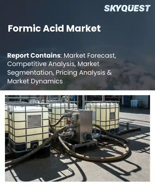 Formic Acid Market