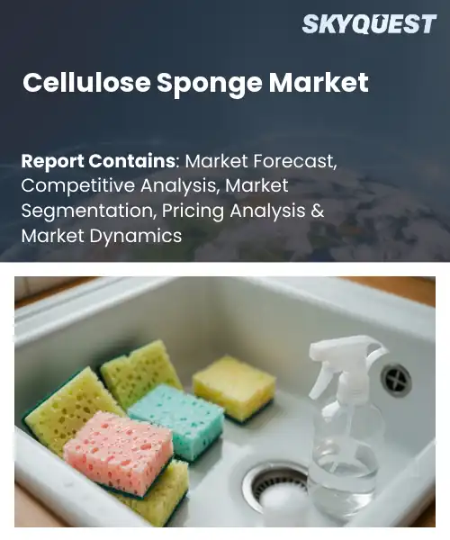 Cellulose Sponge Market