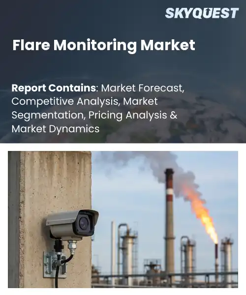 Flare Monitoring Market