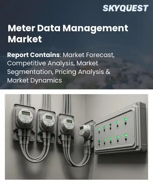Meter Data Management Market