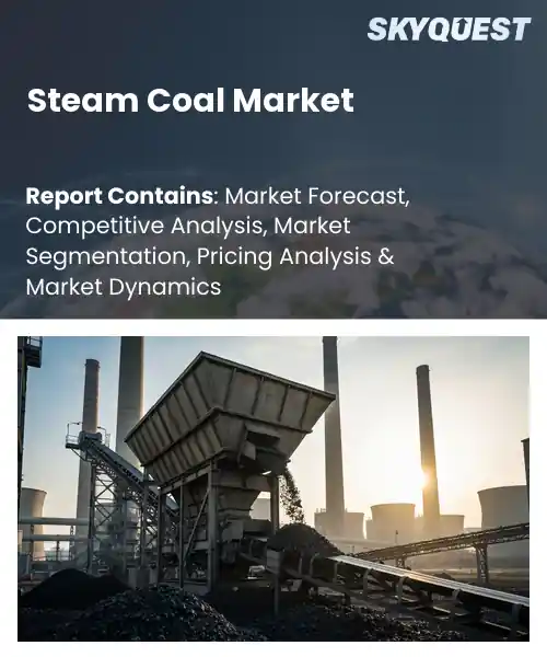 Steam Coal Market
