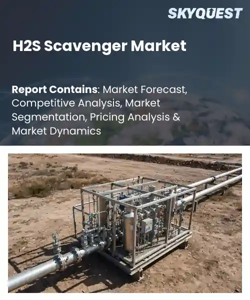 H2S Scavenger Market