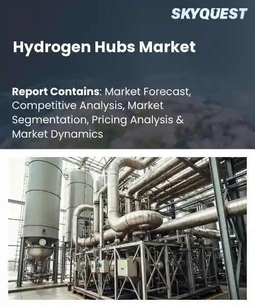 Hydrogen Hubs Market