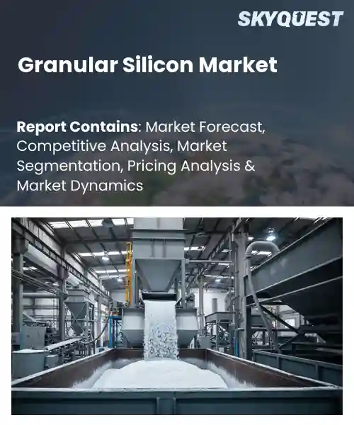 Granular Silicon Market