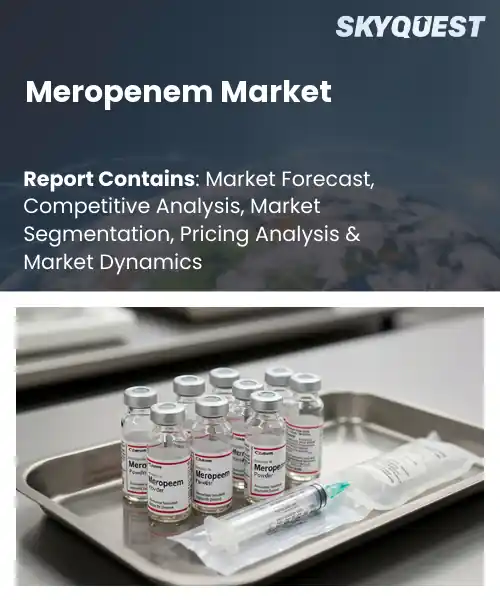 Meropenem Market