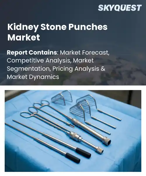 Kidney Stone Punches Market