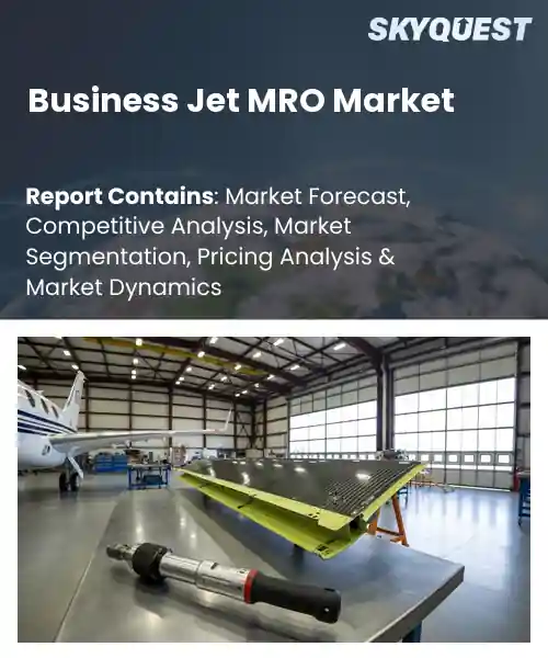 Business Jet MRO Market