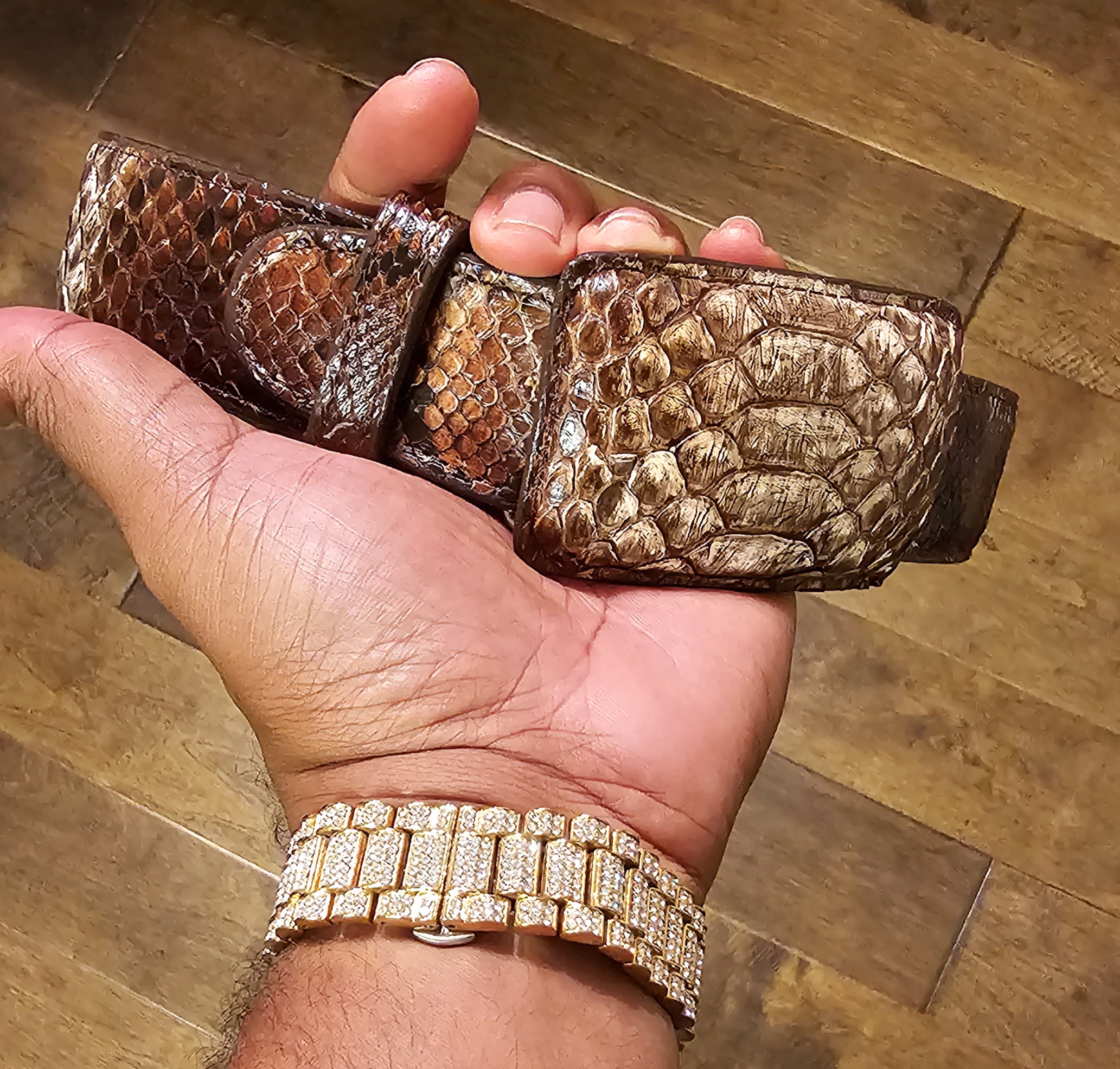 Exotic Brown Phyton