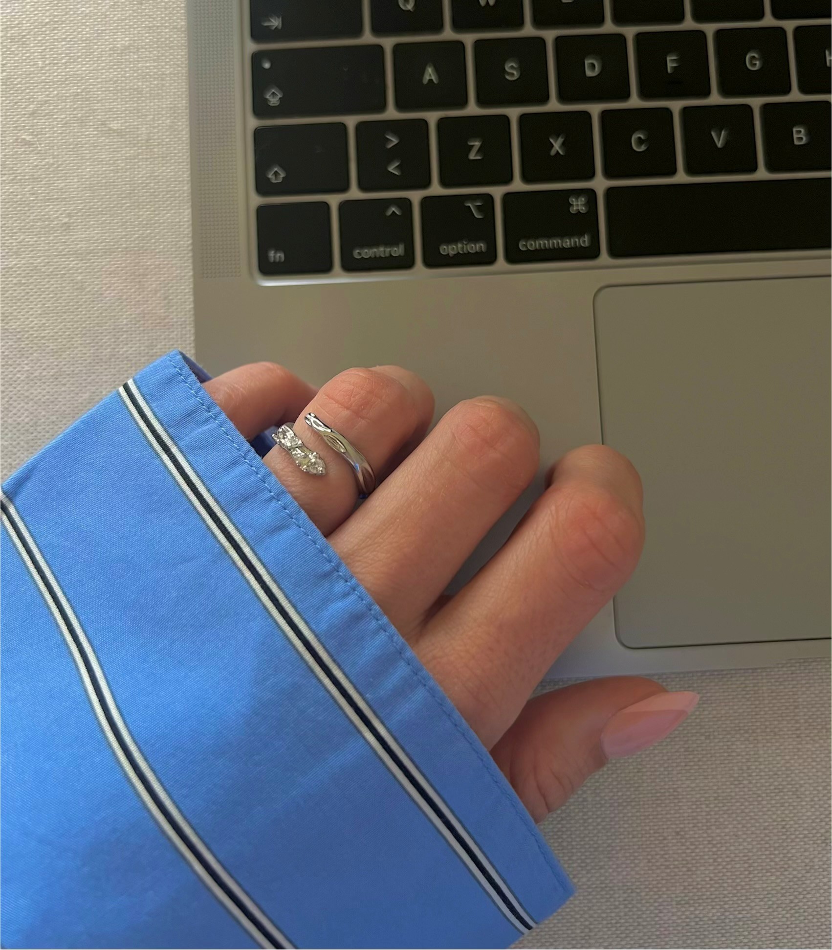 Amelia ring gull bilde 2