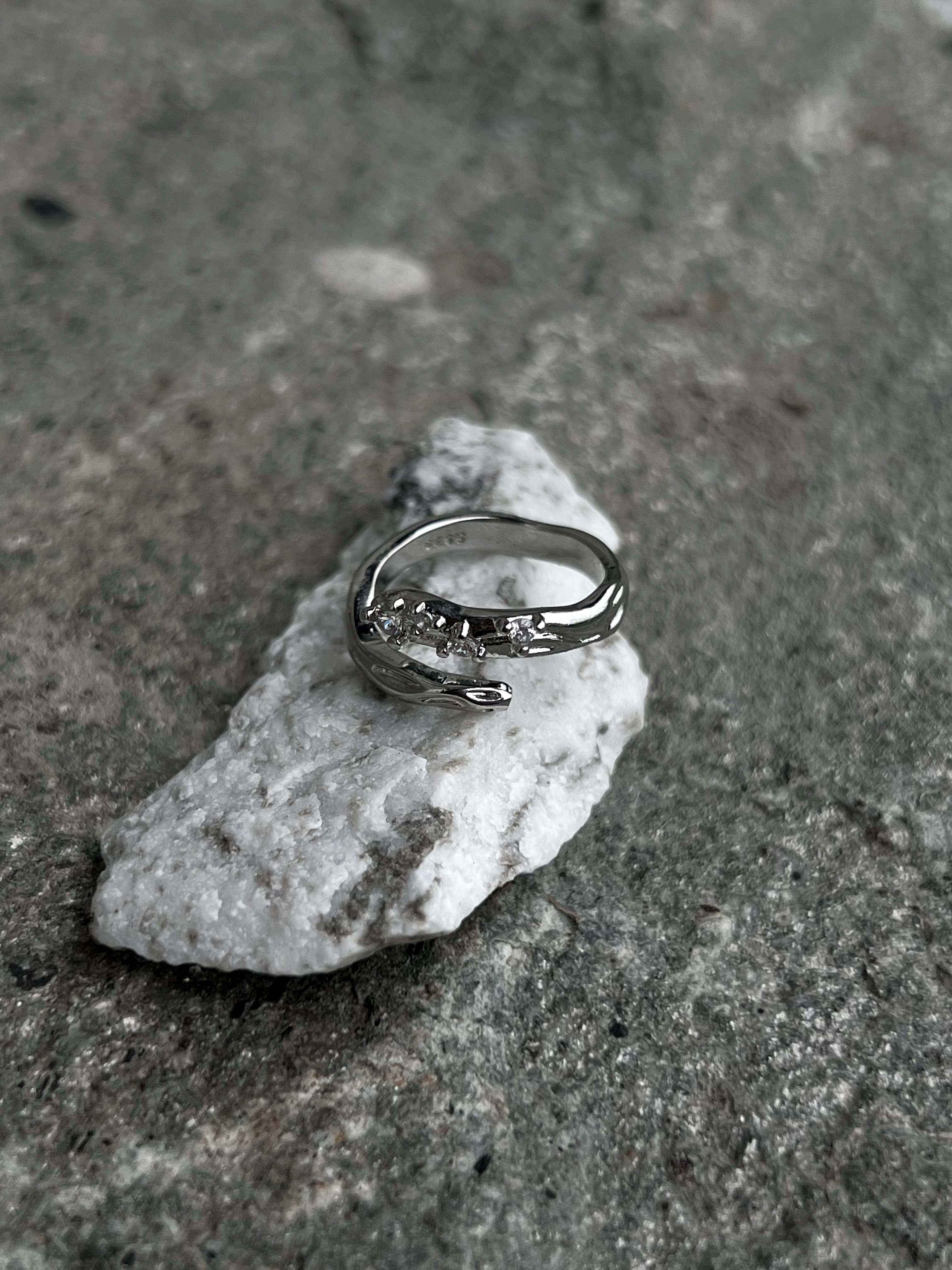 Amelia ring gull bilde 3