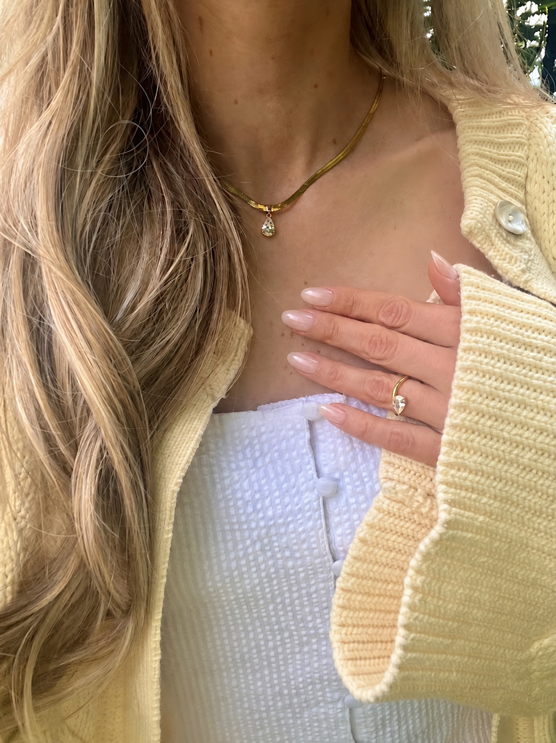 Bambii ring gull bilde 2