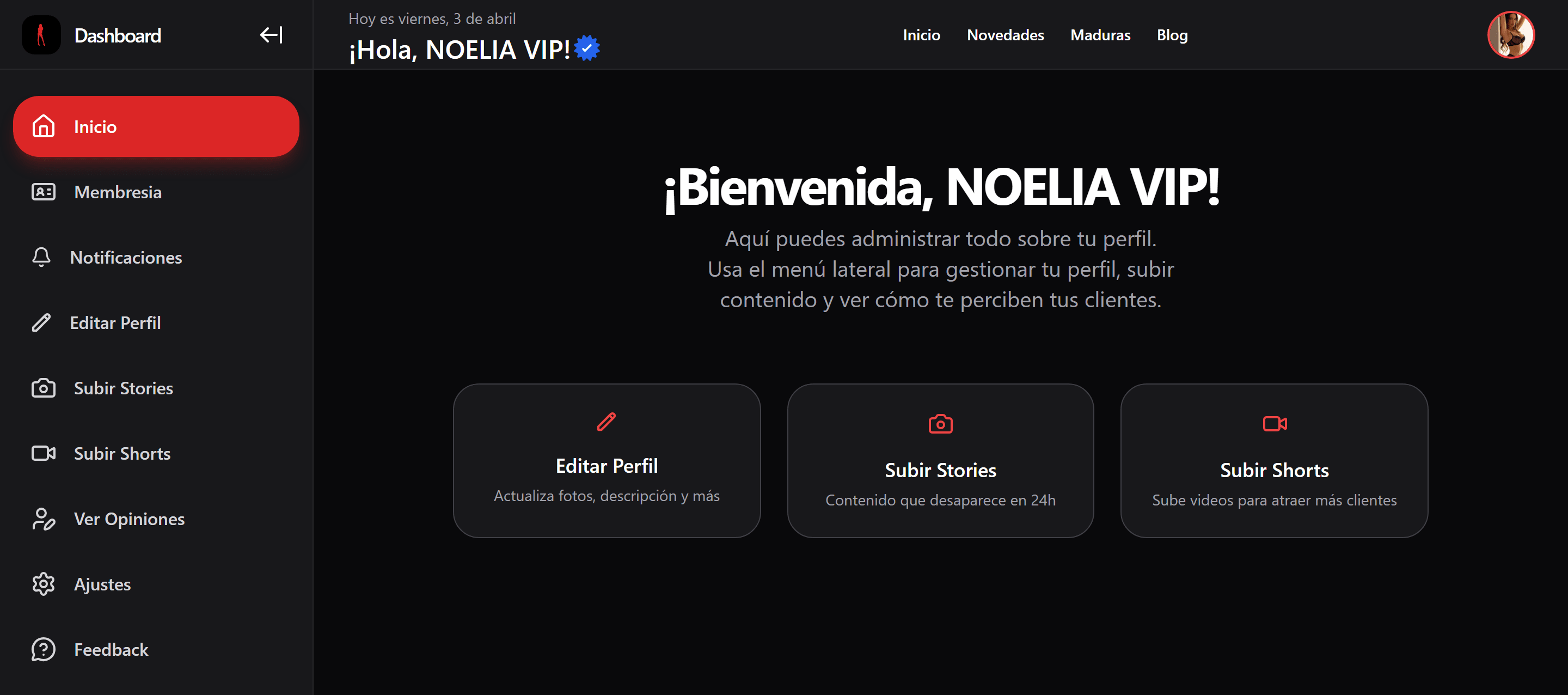 Panel dashboard de perfil en PutasVIP