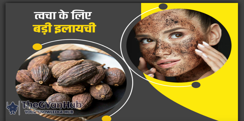 हरड़ – अंदर से सफाई, बाहर से निखार