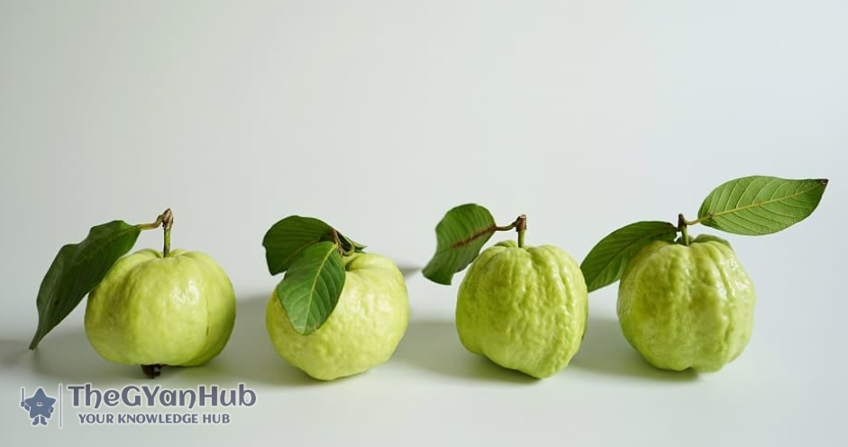 guava