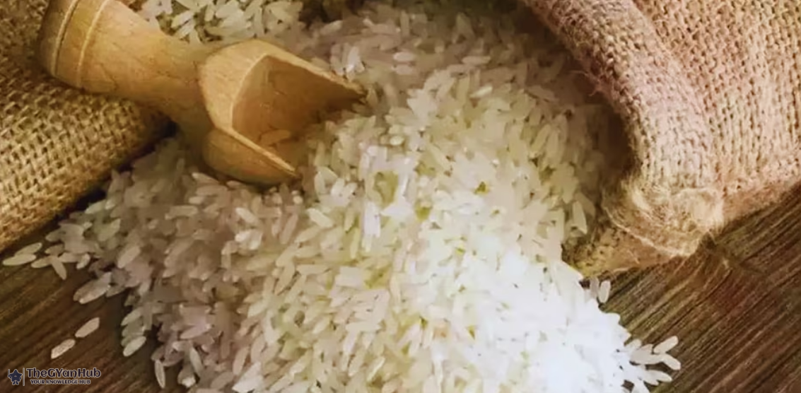 chawal chawal