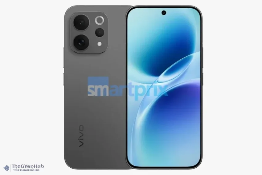 vivo2 vivo2