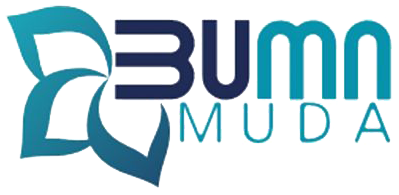 BUMN Muda