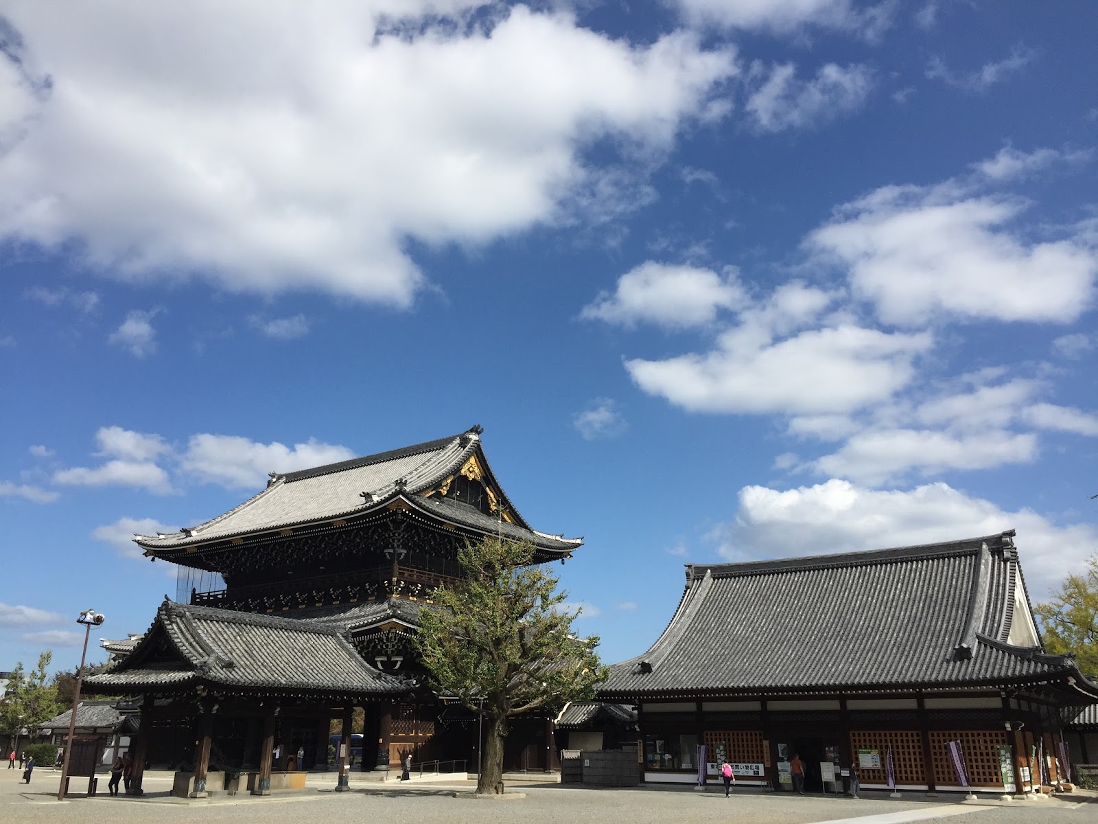 Kyoto 8