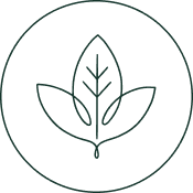 Sheet Icon