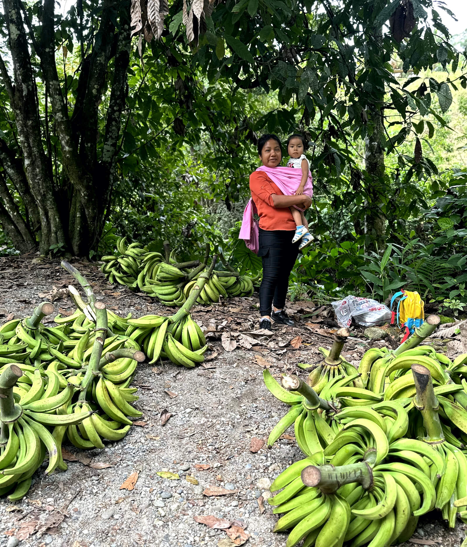 Artisanal and Tourism Development