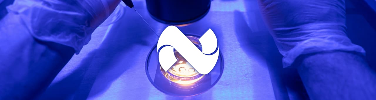 Nucleo