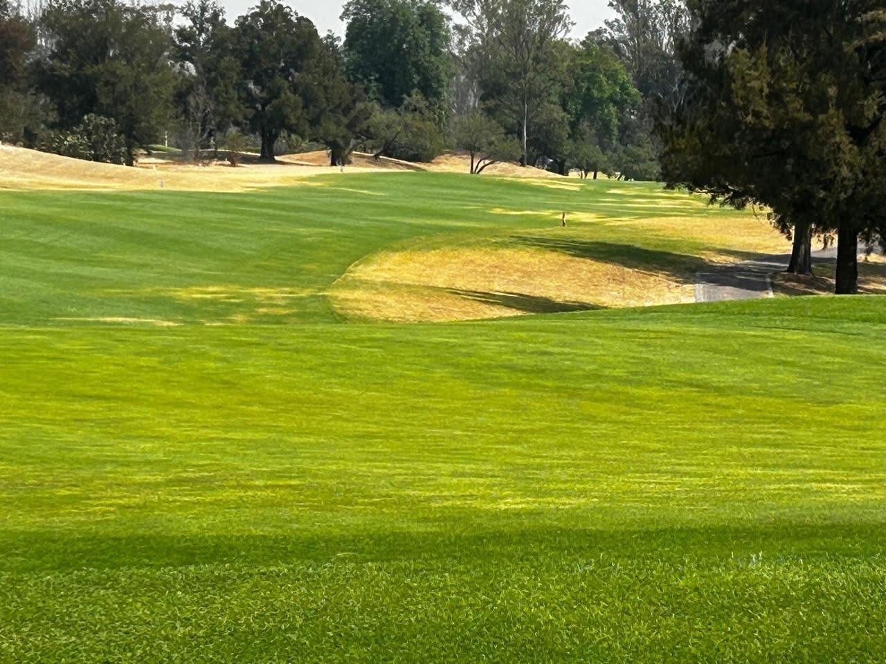 Club de Golf Madeiras