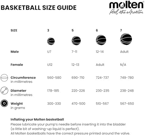 Vue 5 de Molten Bg Fiba Approved