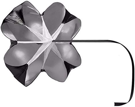 Vue 2 de Vitesse Formation Running Parapluie