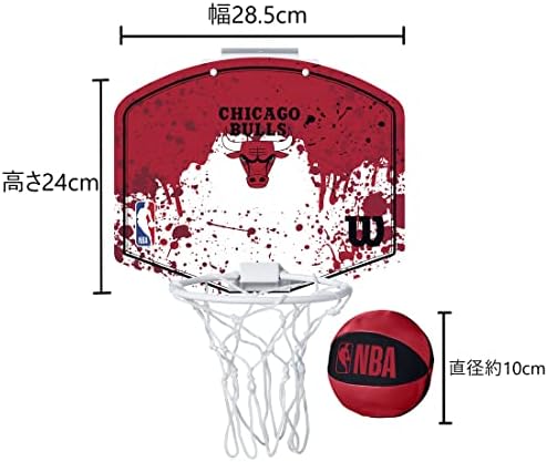 Vue 2 de Wilson Nba Team Mini