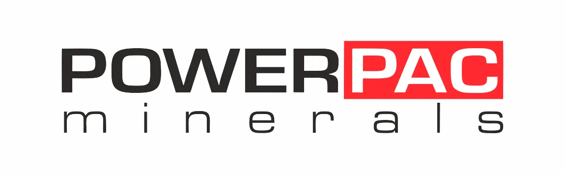company avatar