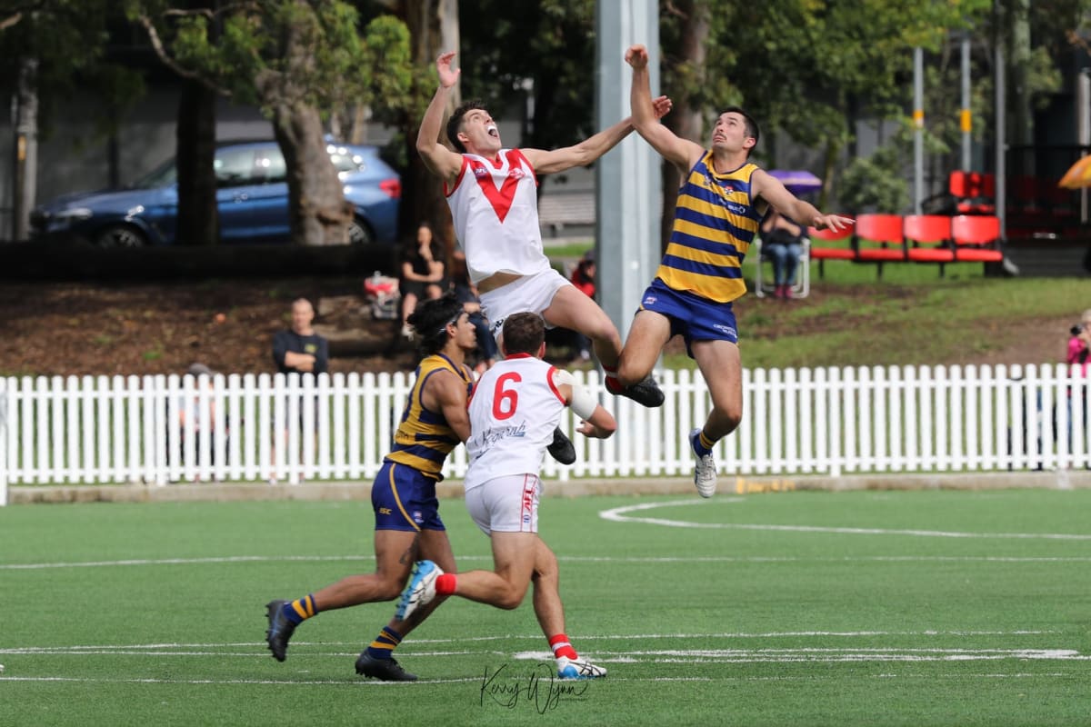 AFL Sydney Premier Division Men's & Women's- Round 12 Preview - AFL Sydney