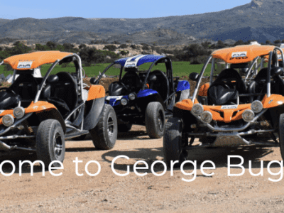 George Buggies