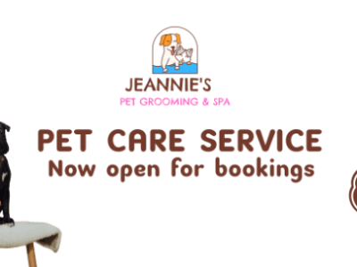 Jeannie's Pet Grooming & SPA