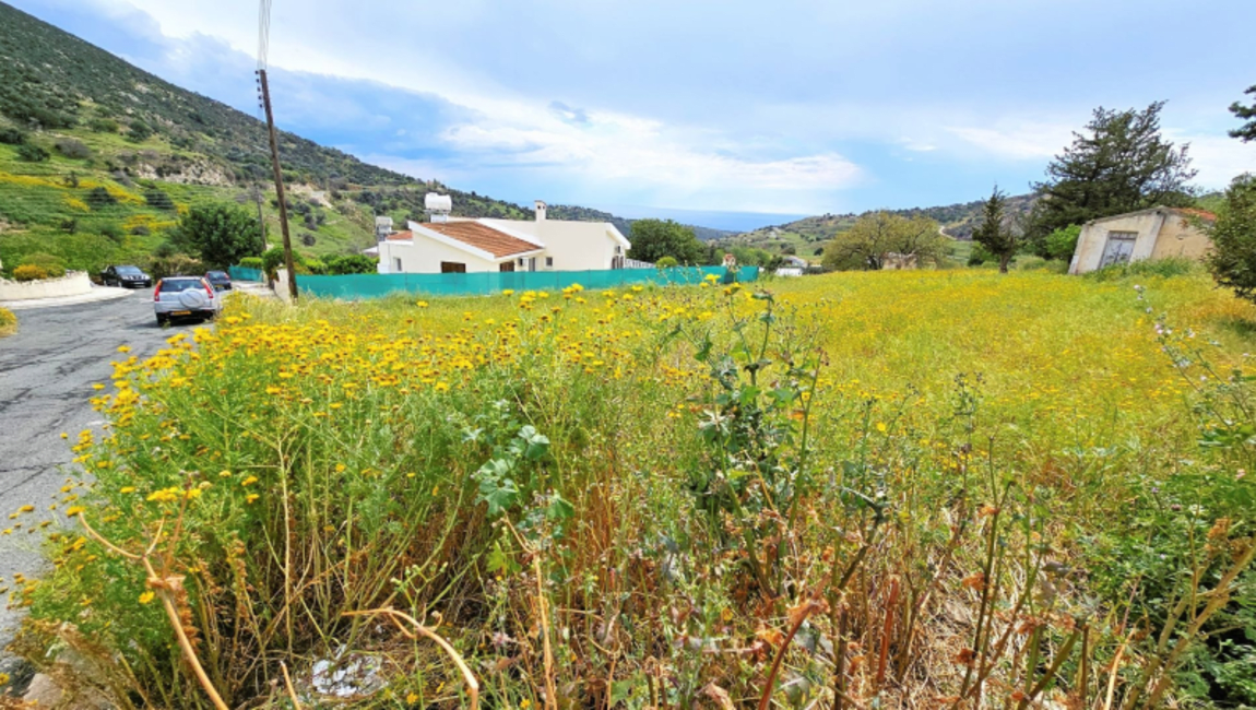 Residential Plot of Land