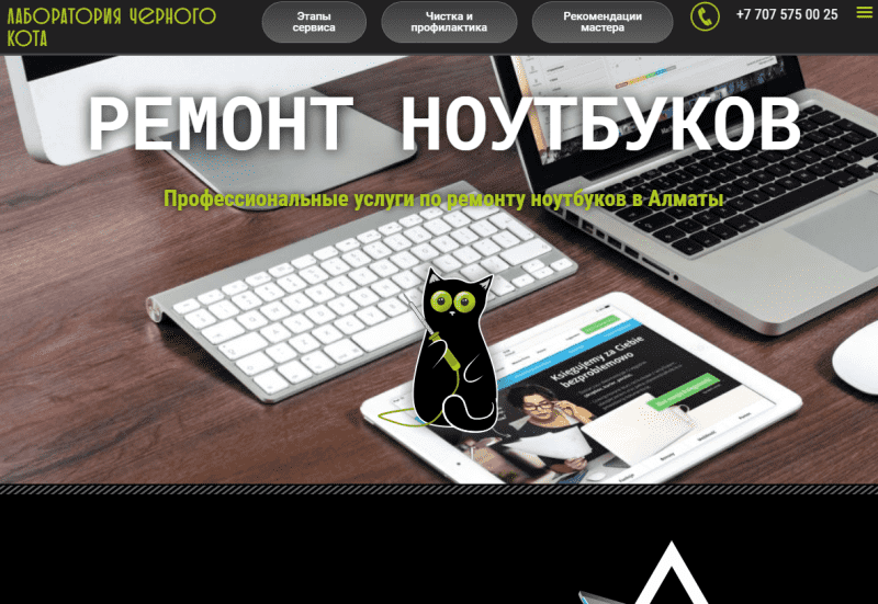 Ремонт ноутбуков Алматы «Лаборатория черного кота»