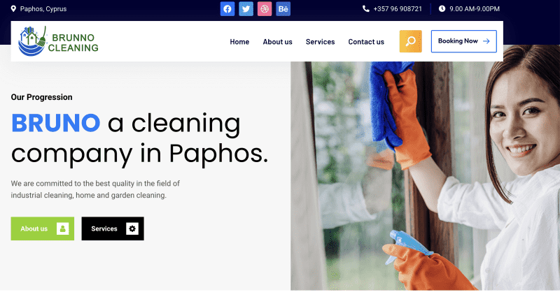 Bruno's cleaning & maintenance company