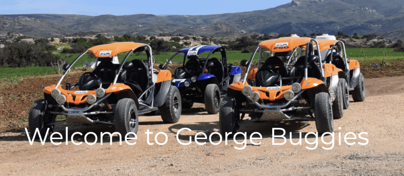 George Buggies