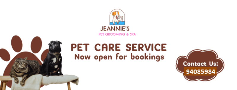 Jeannie's Pet Grooming & SPA
