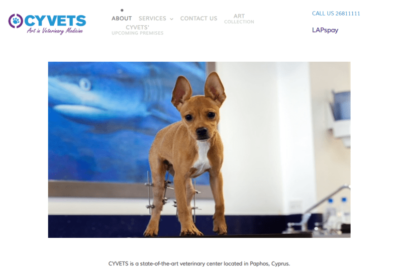 CYVETS VETERINARY CENTRE