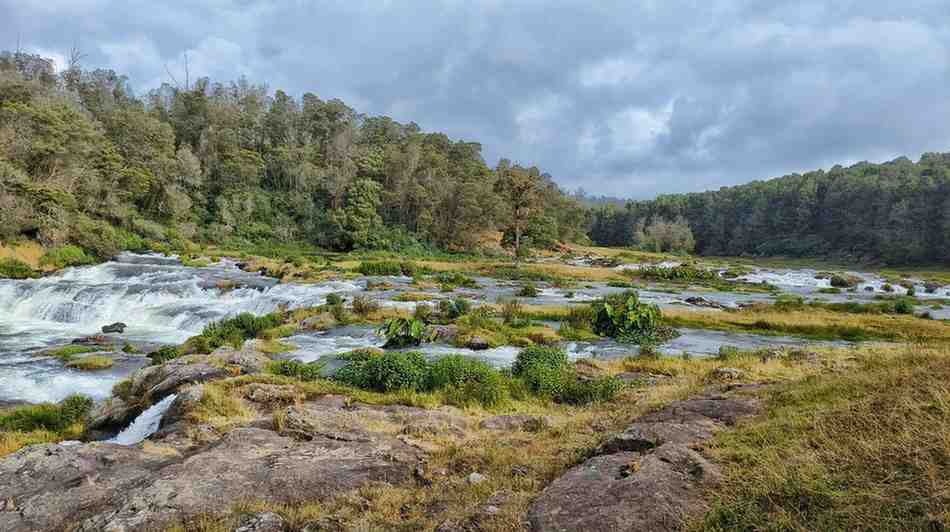 Bangalore Ooty Mysore Honeymoon